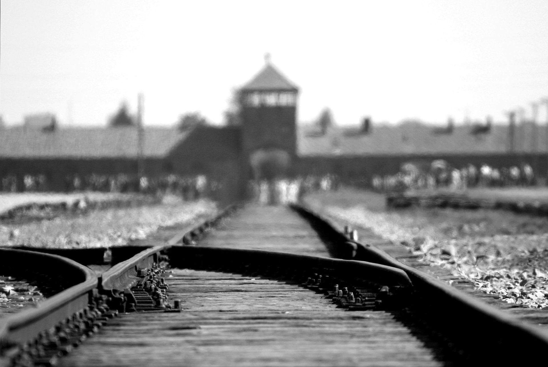 Black and white image of Auschwitz Birkenau railway tracks, symbolizing WWII history.